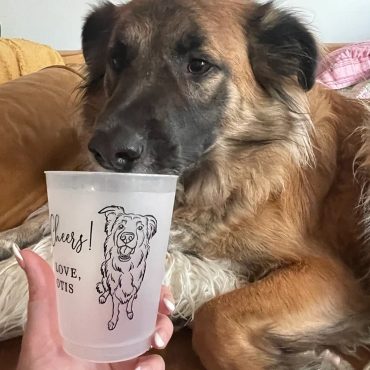 10/50 Custom Dog Cat Pet Portr - Plastic Cup 50Pcs avaliação e preço